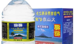 海南有椰树椰汁集团吗 椰树火山岩